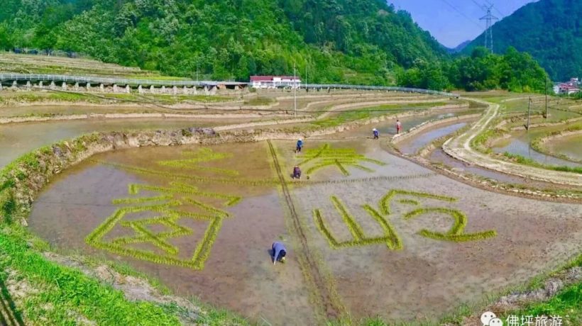 佛坪這些地方，讓你的春游不再單調！插圖17