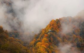 霜降 | 天上寒霜降，人間秋色深縮略圖