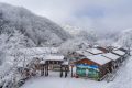 降溫要來了！1月11日—15日陜西多雨雪天氣 陜北降溫8-10 ℃縮略圖