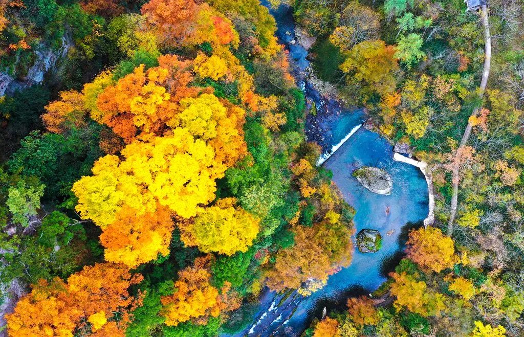 重磅！漢中這家4A景區(qū)全民免門(mén)票！