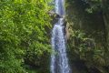 大霧黃色預(yù)警！漢中這些地方能見度低→縮略圖