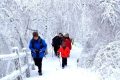 隨著冷空氣的抵達(dá)，陜西迎來一份雨雪、降溫、吹風(fēng)天氣過程縮略圖