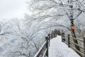 龍頭山今日又下雪啦，每一幀都是“限定浪漫”！縮略圖