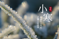 小寒節(jié)氣 | 陜西氣象最新預報氣溫今天就降！縮略圖