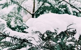 漢中，下雪啦！縮略圖