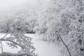 漢江源冰雪季 | 賞雪、嬉雪、看冰瀑，邂逅冬日的浪漫縮略圖