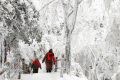 【鬧元宵·賞雪景】一起去漢江源看雪吧！縮略圖