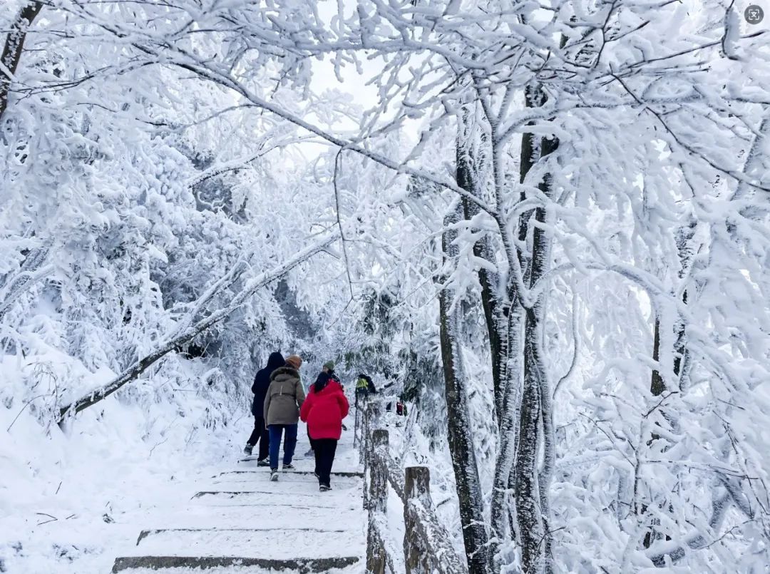 2024漢江源冰雪旅游季抖音大賽等你來(lái)挑戰(zhàn)！