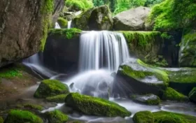 尋夢(mèng)油菜花海，探秘漢江之源：三天兩晚奇遇之旅縮略圖