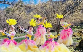 3月22日，王家灣村，茱萸花海踏春游活動來啦！縮略圖